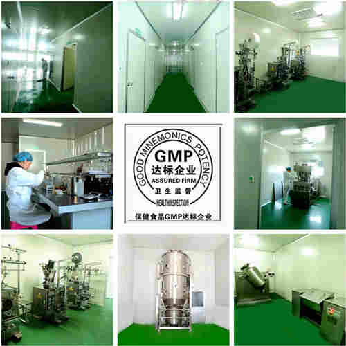 GMP认证十万级净化车间-德州健之源