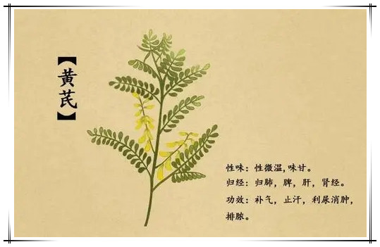 人参牡蛎压片糖果生产公司_德州健之源