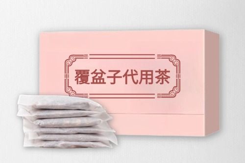 覆盆子代用茶代加工方案及所需手续-德州健之源