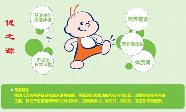 益生菌——肠道健康守护神