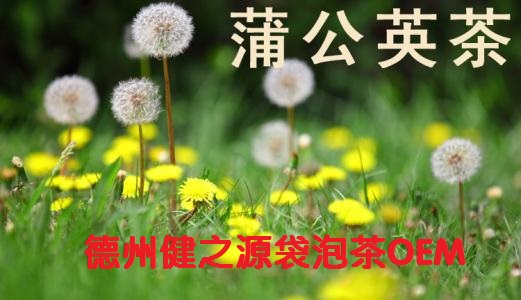蒲公英茶，今天您喝了吗？