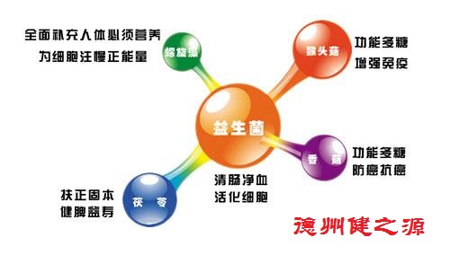 夏天肠胃问题频发，您应该用益生菌了