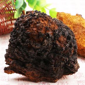 桦褐孔菌片剂代加工_压片糖果OEM_德州健之源