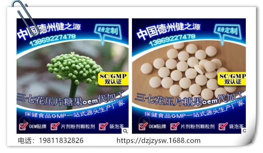 三七花图片德州健之源
