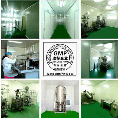GMP车间以及设备_德州健之源