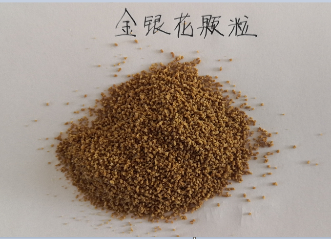 金银花颗粒剂冲剂oem贴牌代加工厂家|德州健之源