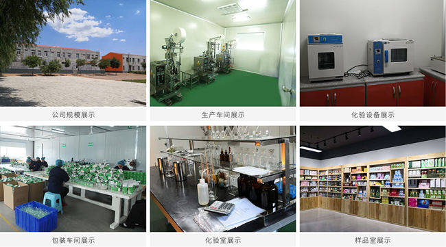 压片糖果代工厂家实景图-德州健之源